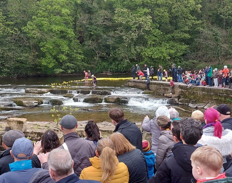 Duck Race